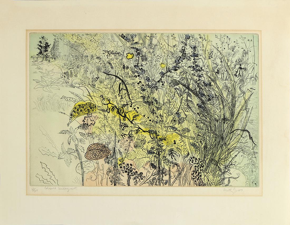 Print, Anthony Gross (1 of 1)