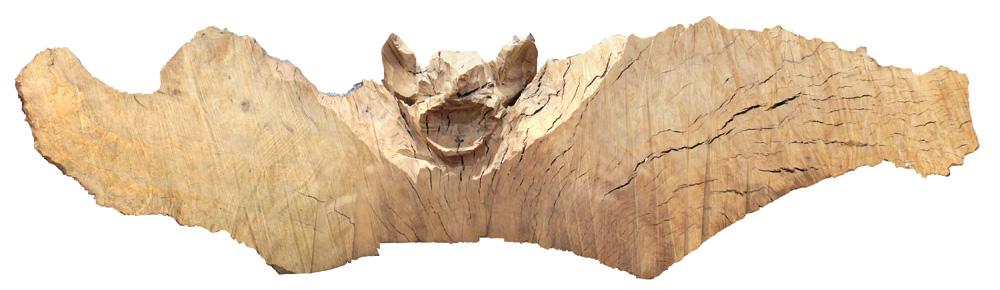 Wood Sculpture, David Nash: David Nash (British, b. 1945), Madrone Bat, 1995, carved wood, unsigned, overall: 16"h x 43"w x 116"d. Provenance: Gifted by the artist to current owner from Refusalon.