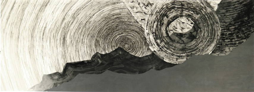 Work on paper, Sandeep Mukherjee: Sandeep Mukherjee (Indian, b. 1964), Untitled, 2008, acrylic ink and gesso on paper, initialed and dated verso, sheet (unframed): 60"h x 156"w. Provenance: From the permanent collection of Blue Shield
