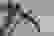 item-81397076=3
