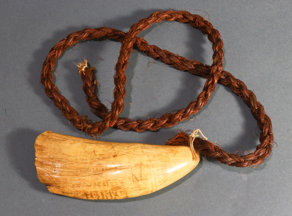 A Tambua whale tooth with necklace of woven fiber: A Tambua whale tooth with necklace of woven fiber, Fiji, probably made of coconut fiber, these were worn often, this example having use and wear, 7"l Provenance: Richard I.M. Kelton Collection, Marina