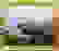 item-81397291=2