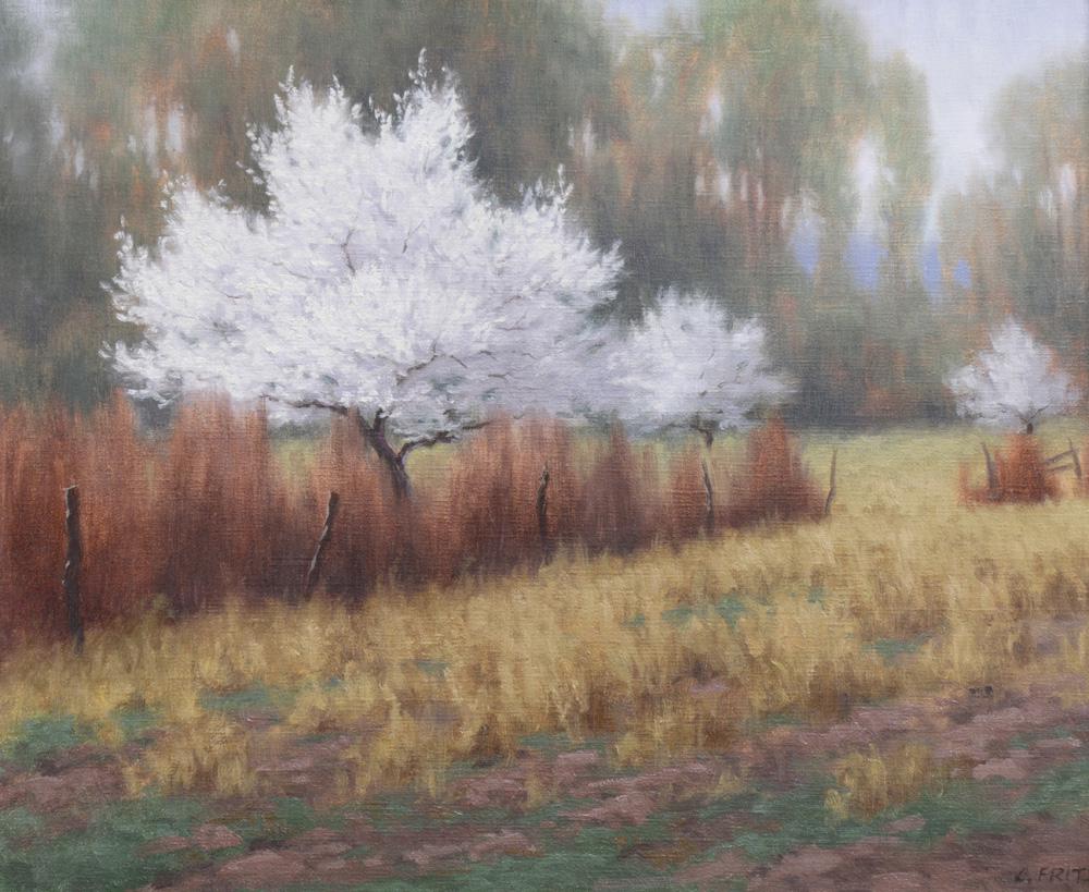 Painting, Charles John Fritz: Charles John Fritz (American, b. 1955), "Apple Blossom Time," oil on canvas, signed lower right, title plaque lower center, gallery label (Fritz Fine Art, Billings, MT) affixed verso, canvas: 16"h x 1