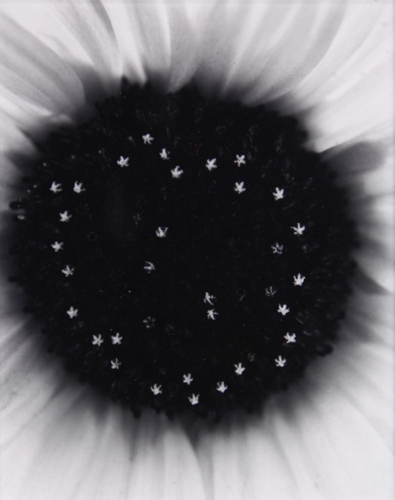 Photograph, Paul Caponigro (1 of 3)