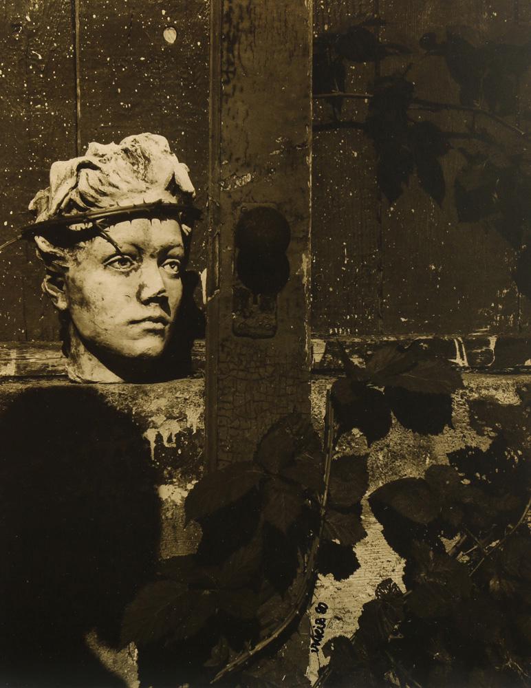 Photograph, Vilem Kriz (1 of 5)