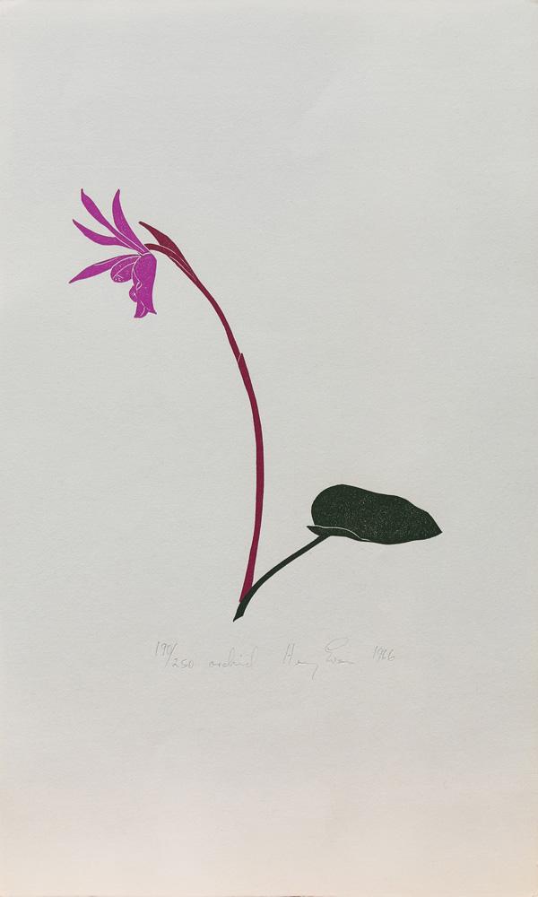 Prints, Henry Evans (1 of 10)