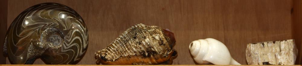 One shelf of decorative art including hardstone shells (1 of 1)