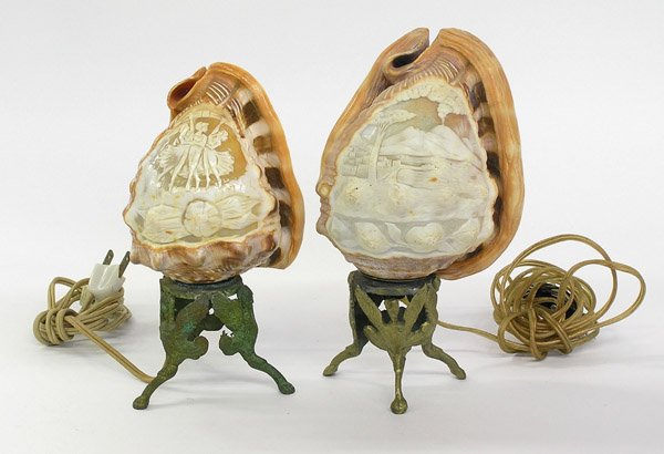 Shell form table lamps