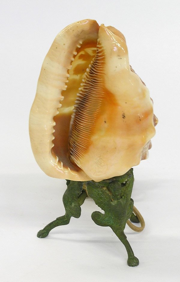 Shell form table lamps - 3