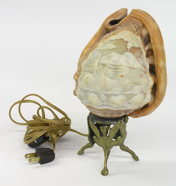 Shell form table lamps - 4