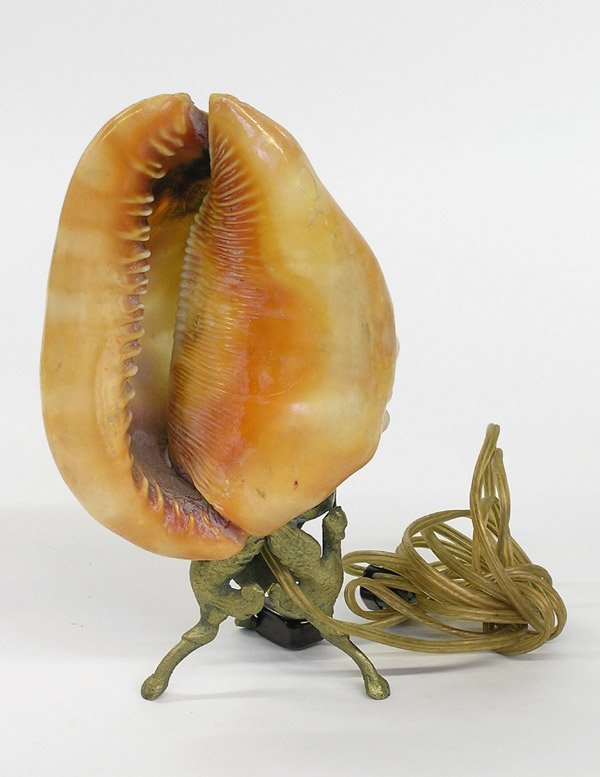 Shell form table lamps - 5