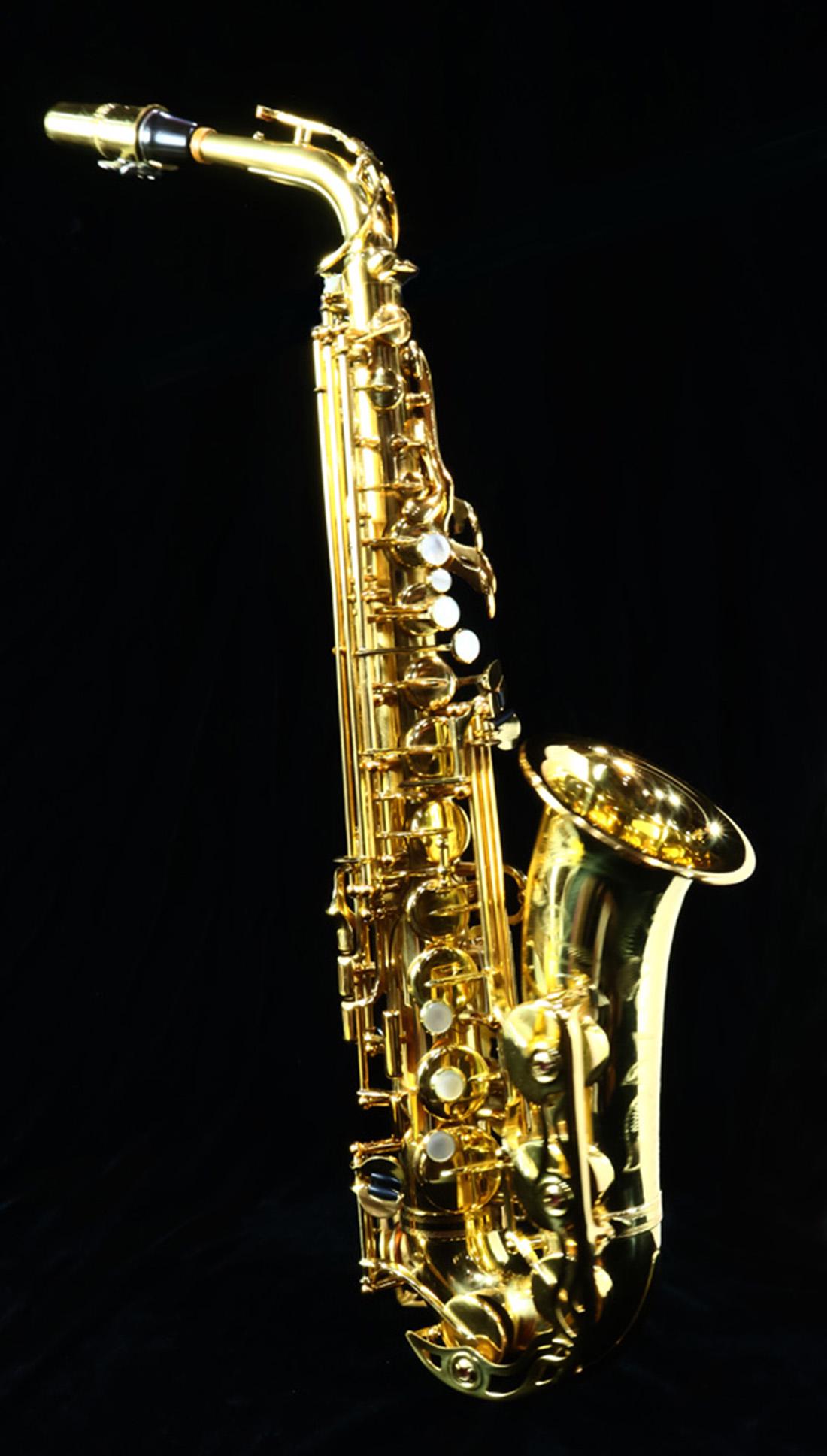 Cased Yamaha YA562 professional series saxophone (1 of 8)