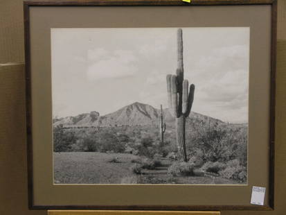 Framed photograph, Phoenix Desert: Framed photograph, Phoenix Desert, McCullech Bros. stratched in negative lower right