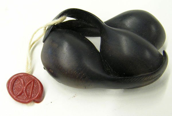 David Carlin, Wood Netsuke, Tadpoles