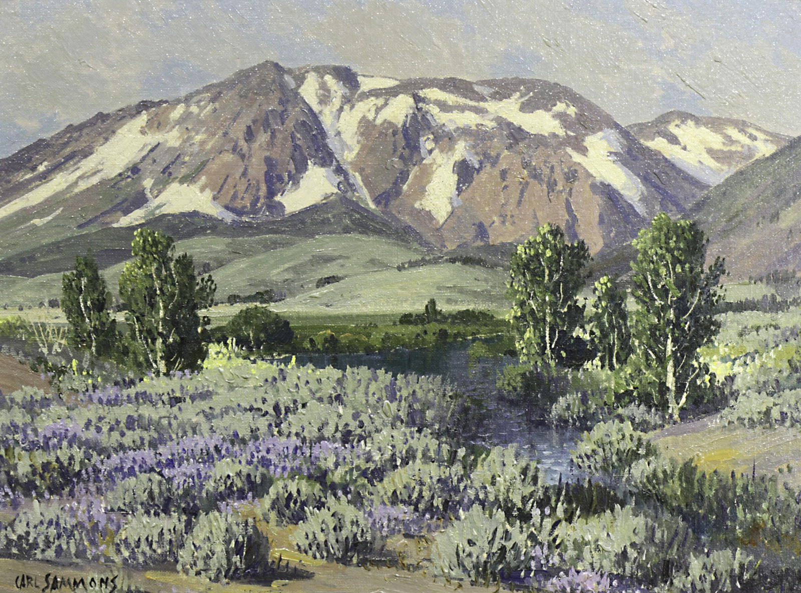 Painting, Carl Sammons (1 of 5)