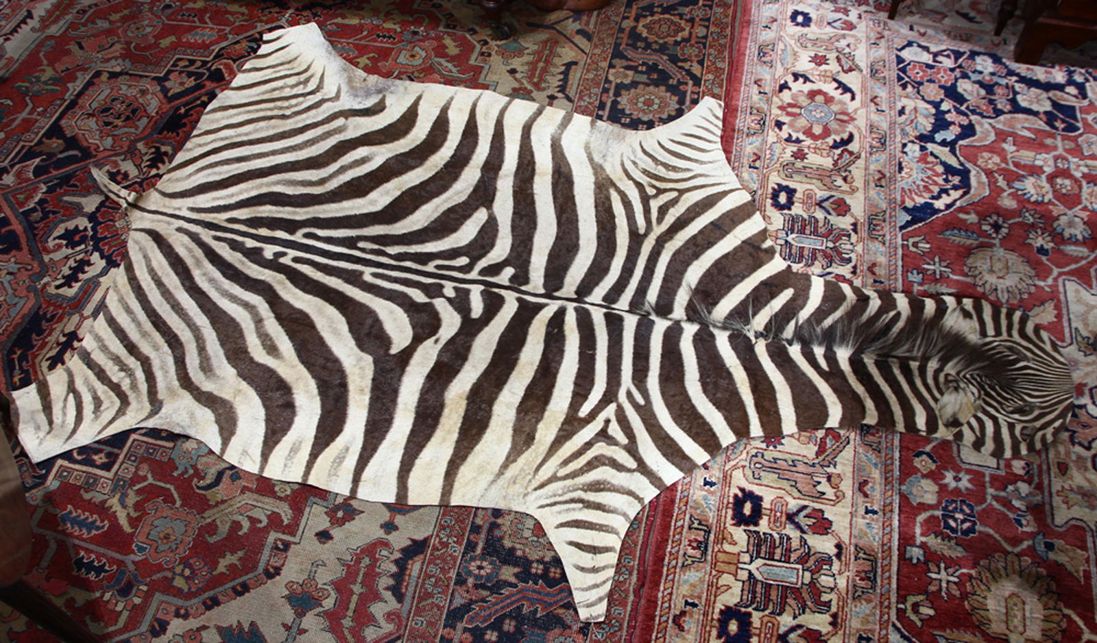 Antique zebra skin (1 of 2)
