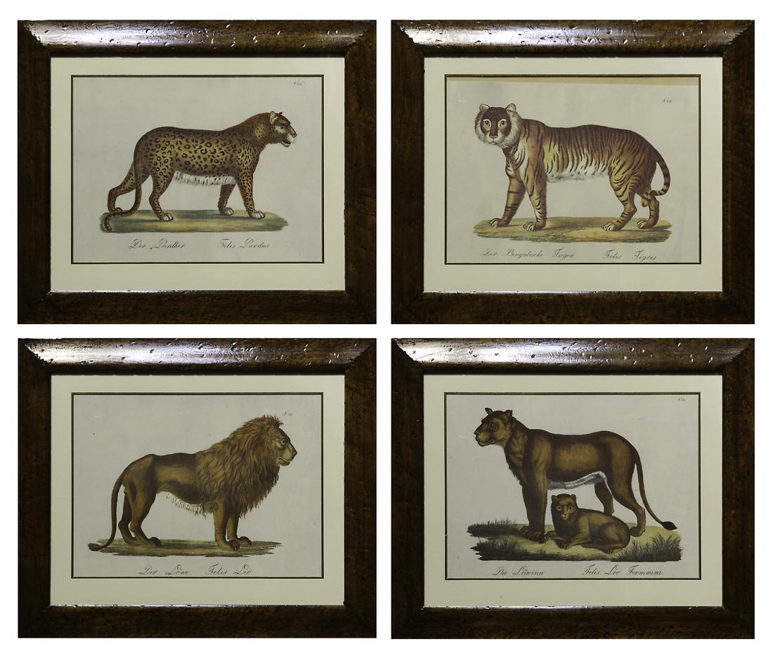 Prints, Large Cat Studies (1 of 1)