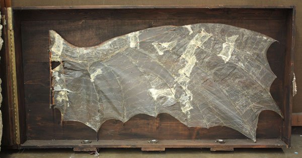 Sculpture, Dee Hibbert-Jones, CA: Mixed media sculpture (pine, steel, and hog gut in wood case), ''Icarus Confined,'' 1998, by Dee Hibbert-Jones (Californian, Contemporary), overall: 37.5''h x 73''w x 6.5''d