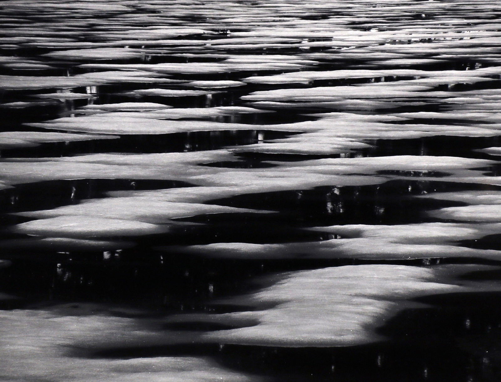 Photograph, Brett Weston (1 of 4)