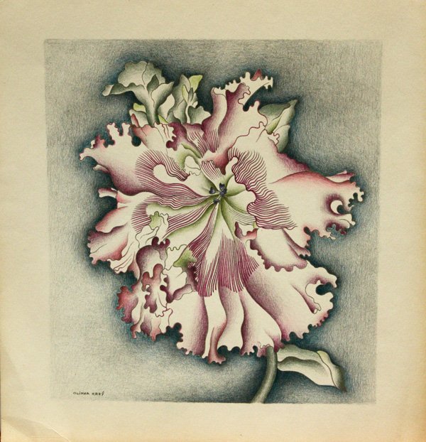 Lithograph Lily Olinka Hrdy: Unframed colored pencil over stone lithography, Hibiscus, by Olinka Hrdy (American, 1902-1987), plate signed "Olinka Hrdy" lower left, overall: 9.5"h x 10"w
