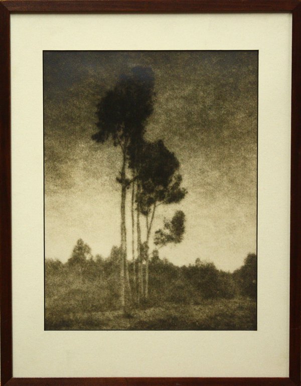 Photographs, Leopold Hugo, Californian: (Lot of 2) Framed salt-print and gelatin silver print photographs, Grove of Eucalyptus Trees and Ship at Sea, by Leopold Hugo (Californian, 1863-1933), each signed ''Leopold Hugo'' lower right, larges