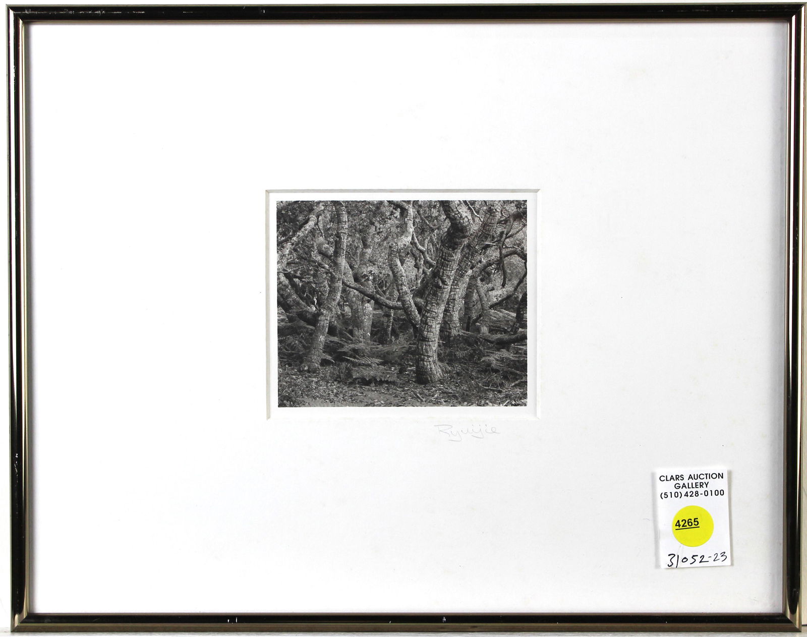 Photograph, Ryuijie (1 of 2)