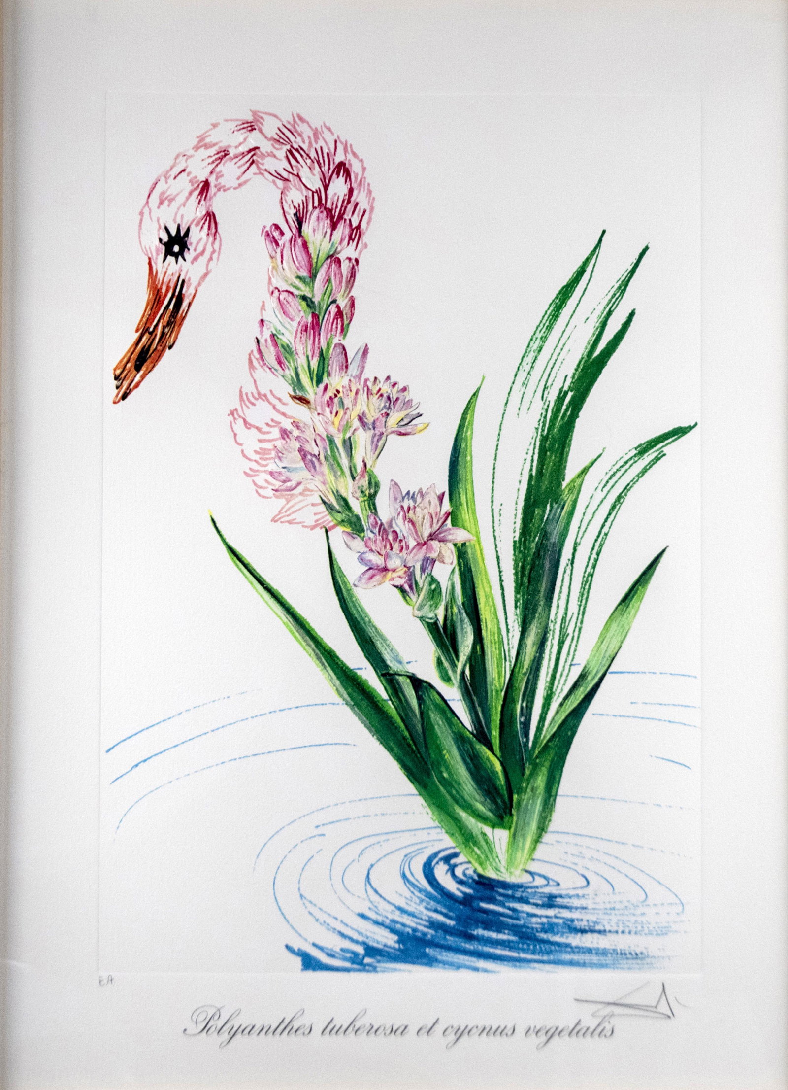 Print, Salvador Dali (1 of 7)