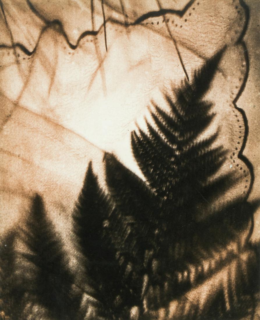 Photograph, Edmund Teske (1 of 3)