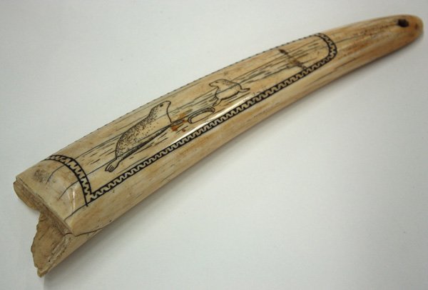 Inuit fossilized walrus tusk: Inuit fossilized walrus tusk with scrimshaw of seals on ice mass by breathing hole, 10''l. Provenance: property of a 19th century maritime family