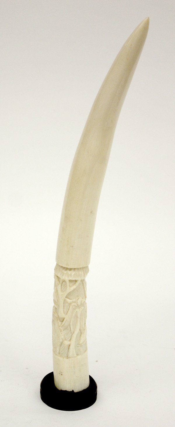 Carved African ivory tusk: Carved African ivory tusk, lower section carved in relief with landscape with figures, on a fitted wooden stand, 17''h