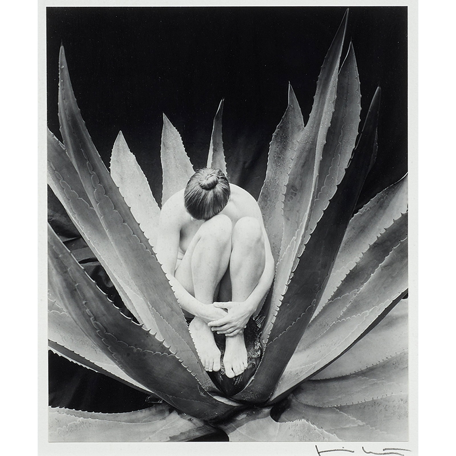 Photograph, Kim Weston: Kim Weston (American, b. 1953), Untitled (Nude and Aloe Vera), gelatin silver print, signed lower right, image/sheet: 8.75"h x 7.5"w, overall (with frame): 23.75"h x 17.75"w