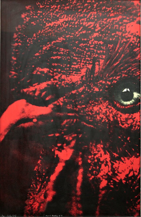 Screenprint, Colin Self, Power and Beauty, DAM: Framed screenprint, ''Power and Beauty No. 4 - Cockerel,'' 1968, by Colin Self (British, b.1941), signed and numbered ''4/75 Colin Self'' lower left, titled lower center, label affixed verso, sight: 4