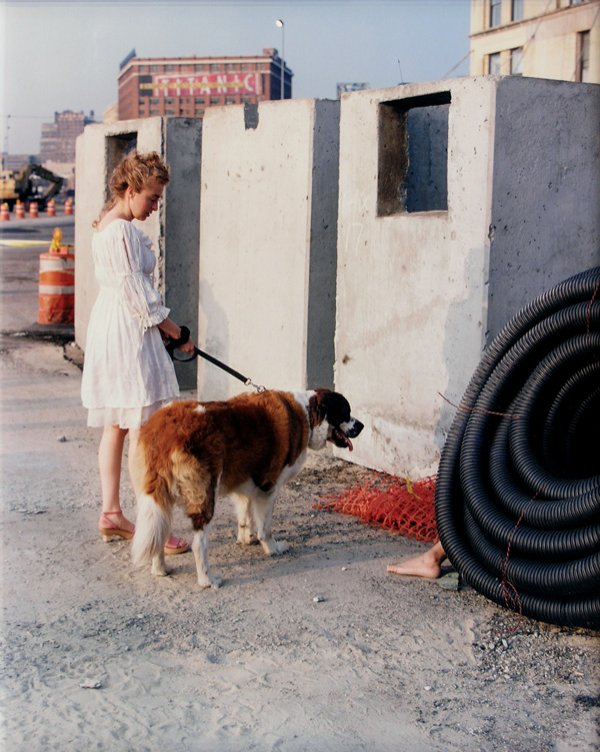 Photo, Dana Hoey, Disaster Relief, Dog, DAM: Framed C-print, ''Disaster Relief,'' 1998, by Dana Hoey (American, b.1966), signed ''Dana M. Hoey'' on label affixed verso, numbered 2/6 verso, sight: 49.75''h x 39.25''w, overall: 51''h x 40.5''w. De