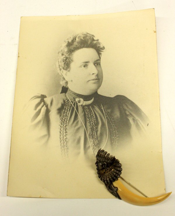 Victorian boar's tooth brooch
