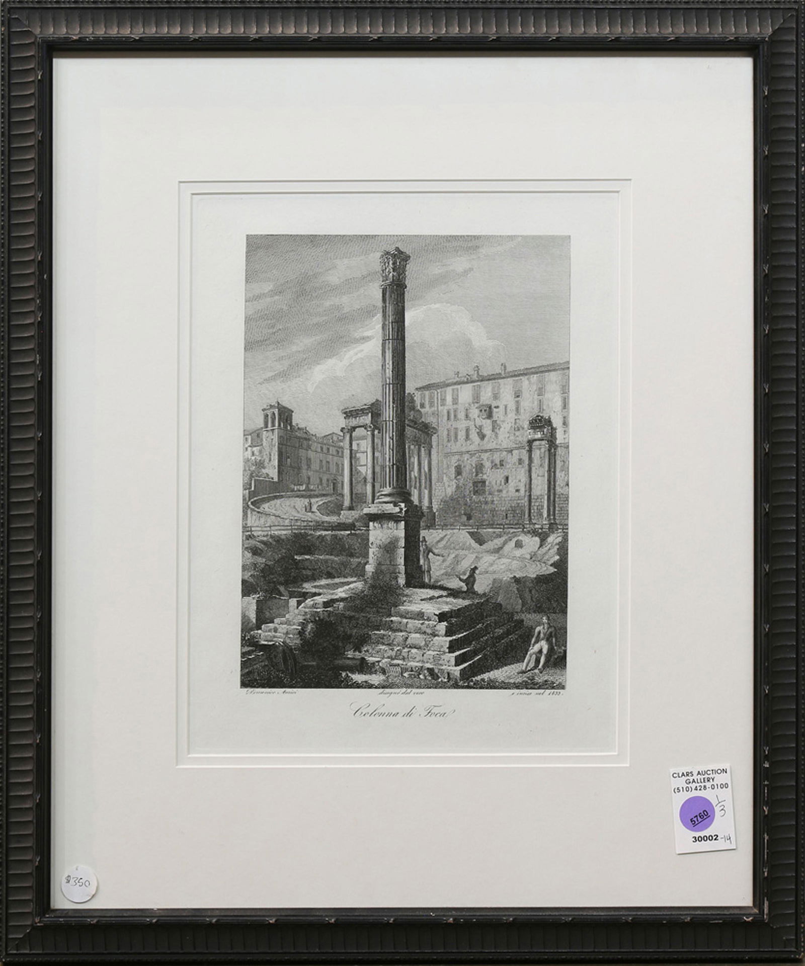 Print, Domenico Amici (1 of 1)