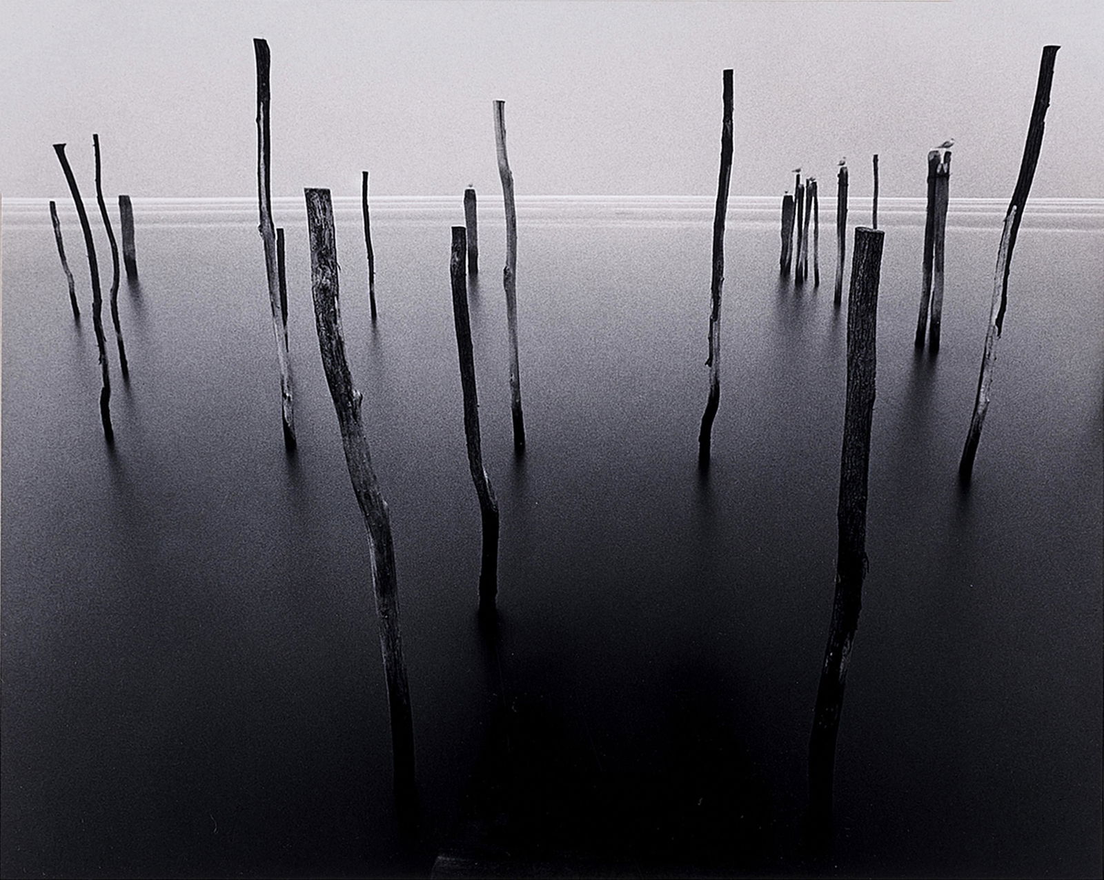Photograph, Michael Kenna (1 of 6)