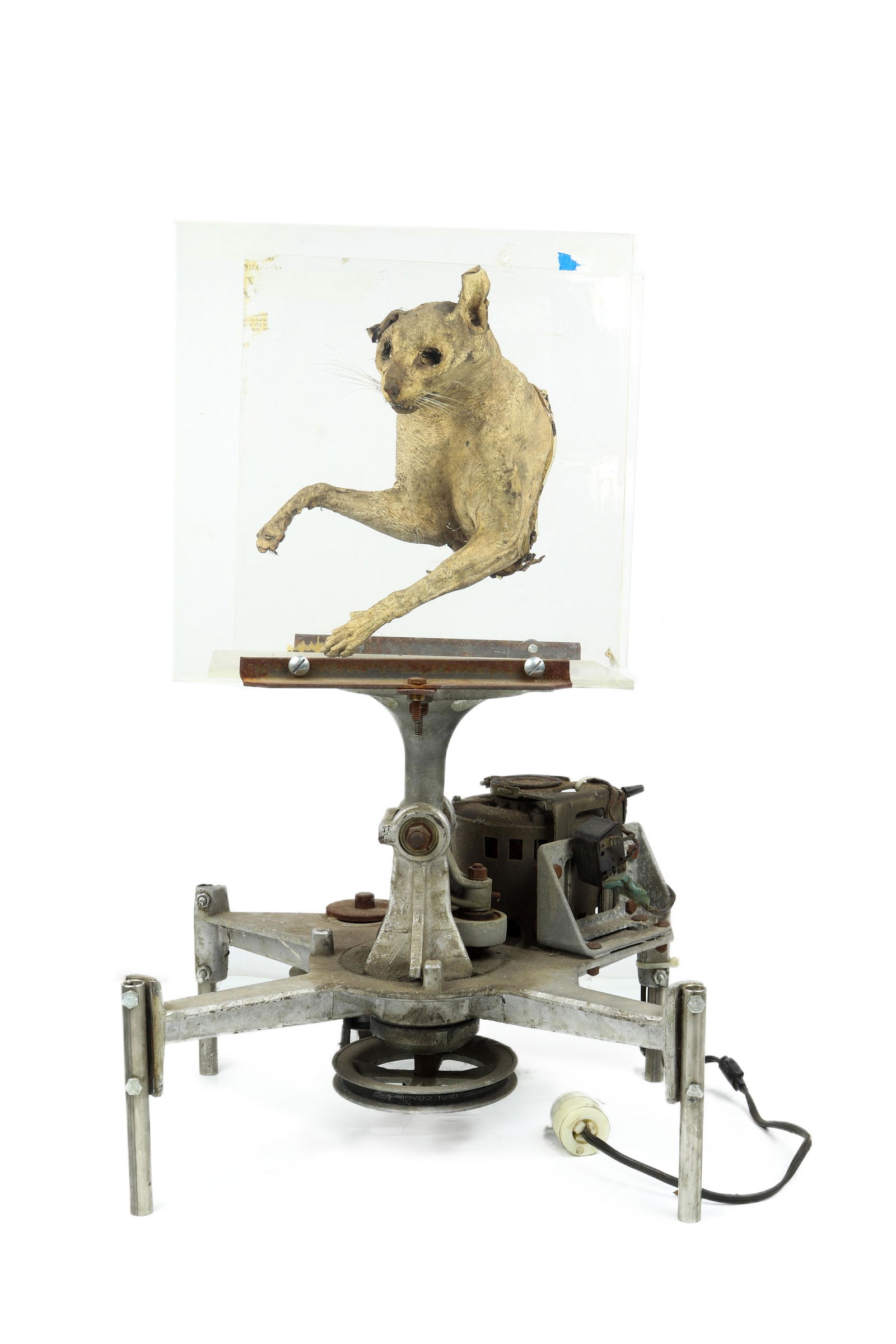 Machine, Mark Pauline (1 of 5)