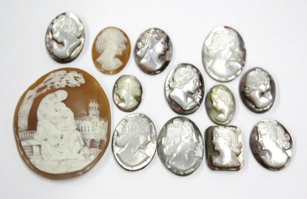 Cameo carved shells: (lot of 13) Cameo shells
