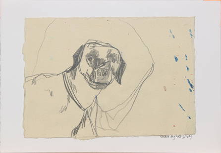 Works on paper by Shara Hughes: (lot of 3) Shara Hughes (American, b. 1981), Untitled (Dog), 2004, graphite on paper, Untitled (Interior Scene with Buffalo and Rhino Heads), 2004, graphite on paper, and Untitled (Abstract), 2003, mi