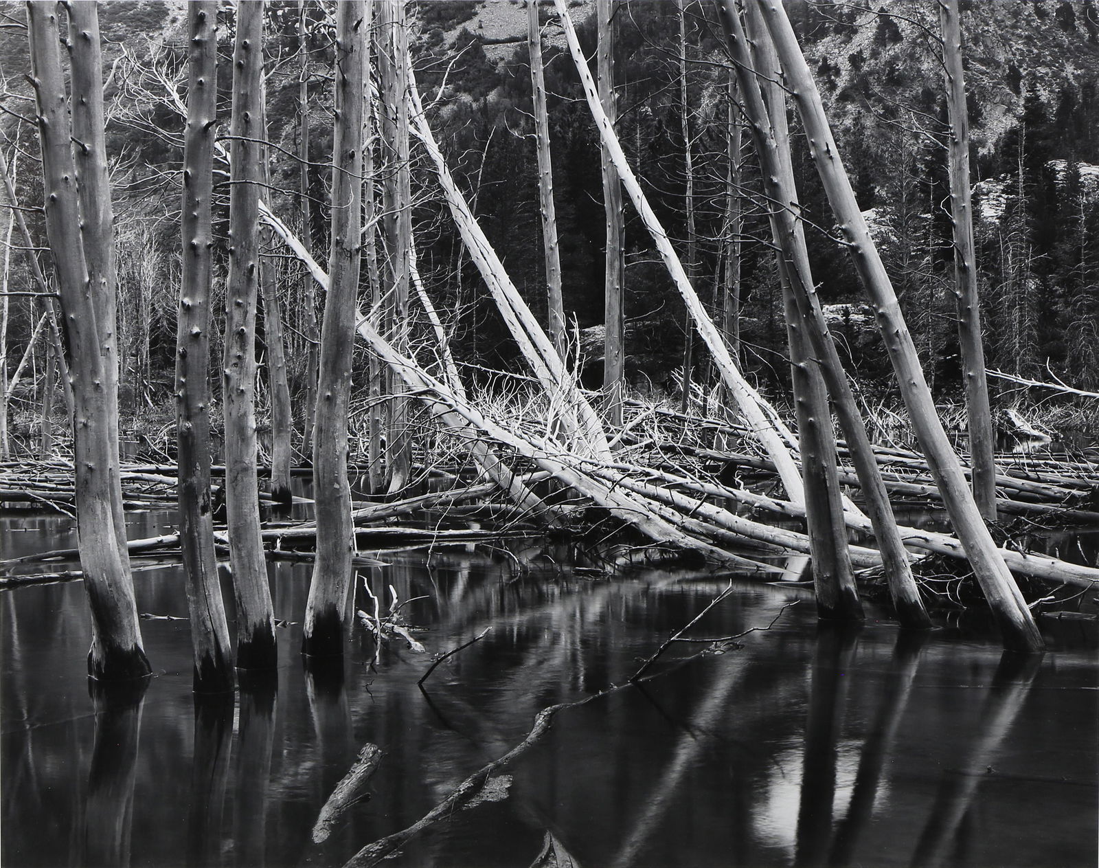 Photograph, John Sexton (1 of 6)