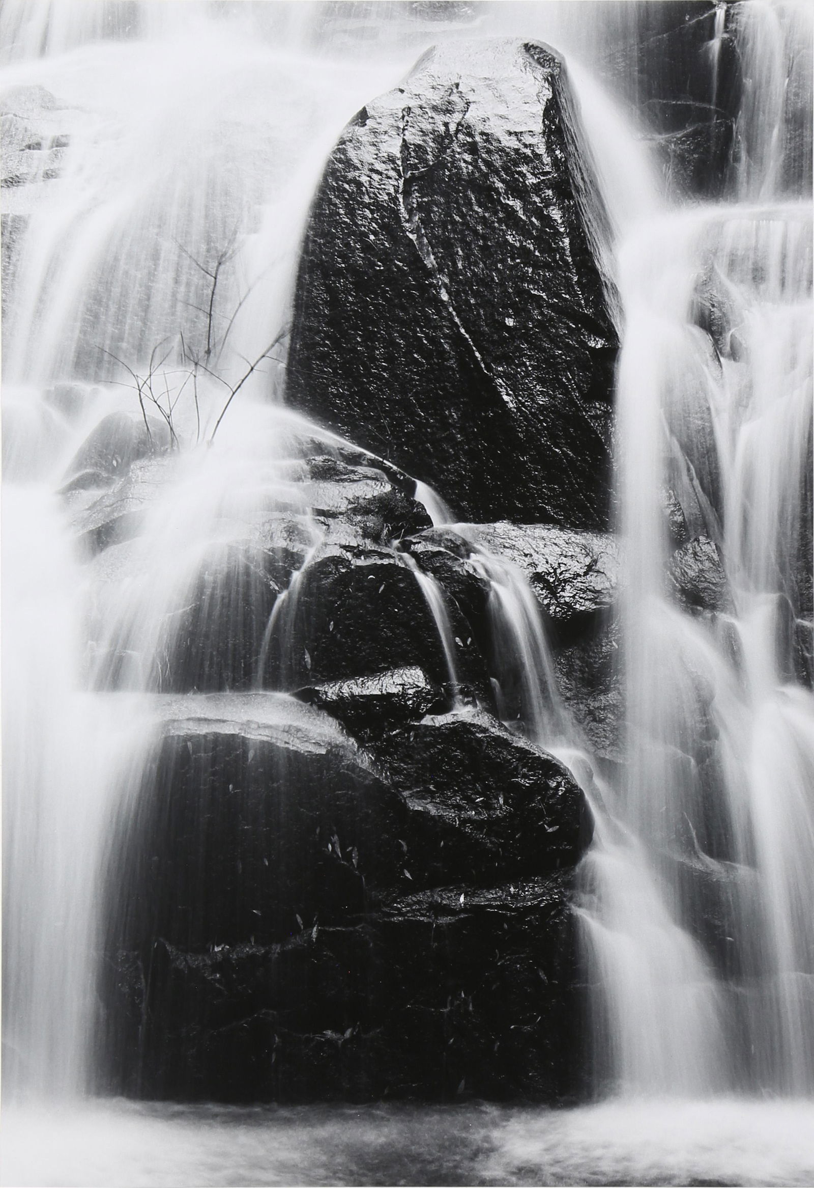 Photograph, Henry Gilpin (1 of 5)