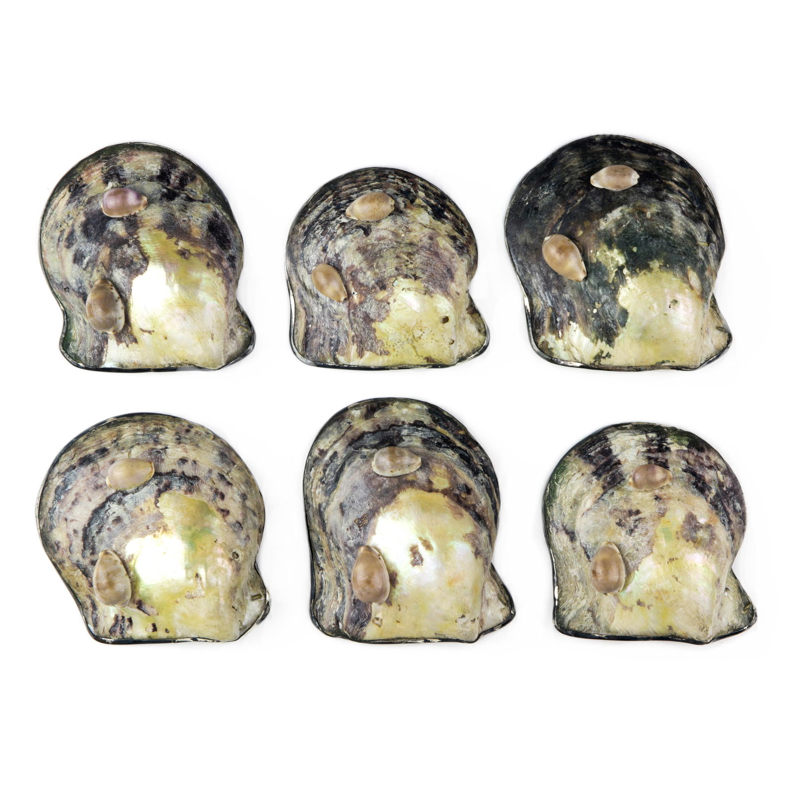 A (lot of 6) sterling silver rimmed salt dishes (1 of 2)