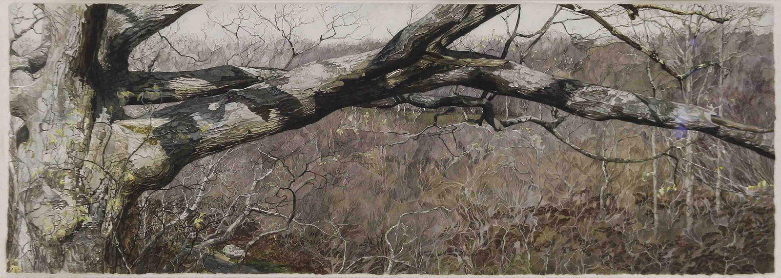 Watercolor, Andrew Gordon Moore (1 of 3)