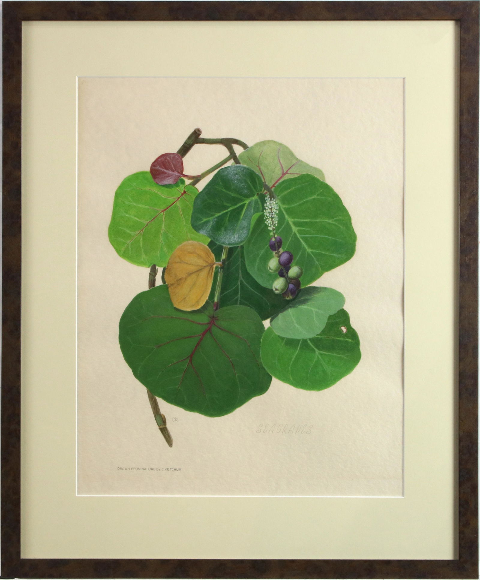 Works on Paper, C Ketchum (1 of 2)