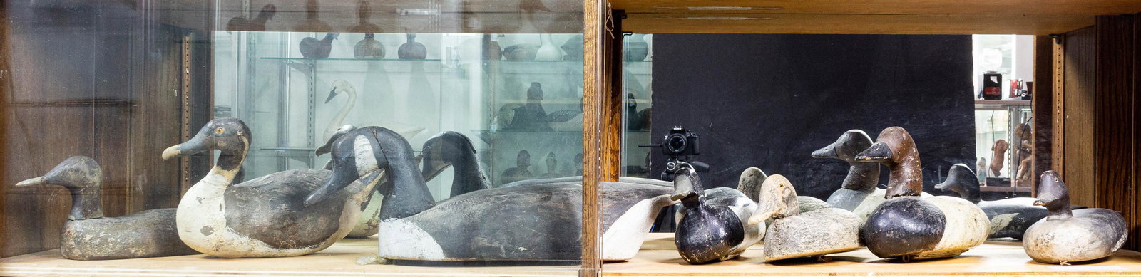 (lot of 7) Primitive painted duck decoys, mostly wood, (1 of 1)