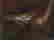 item-109129535=5