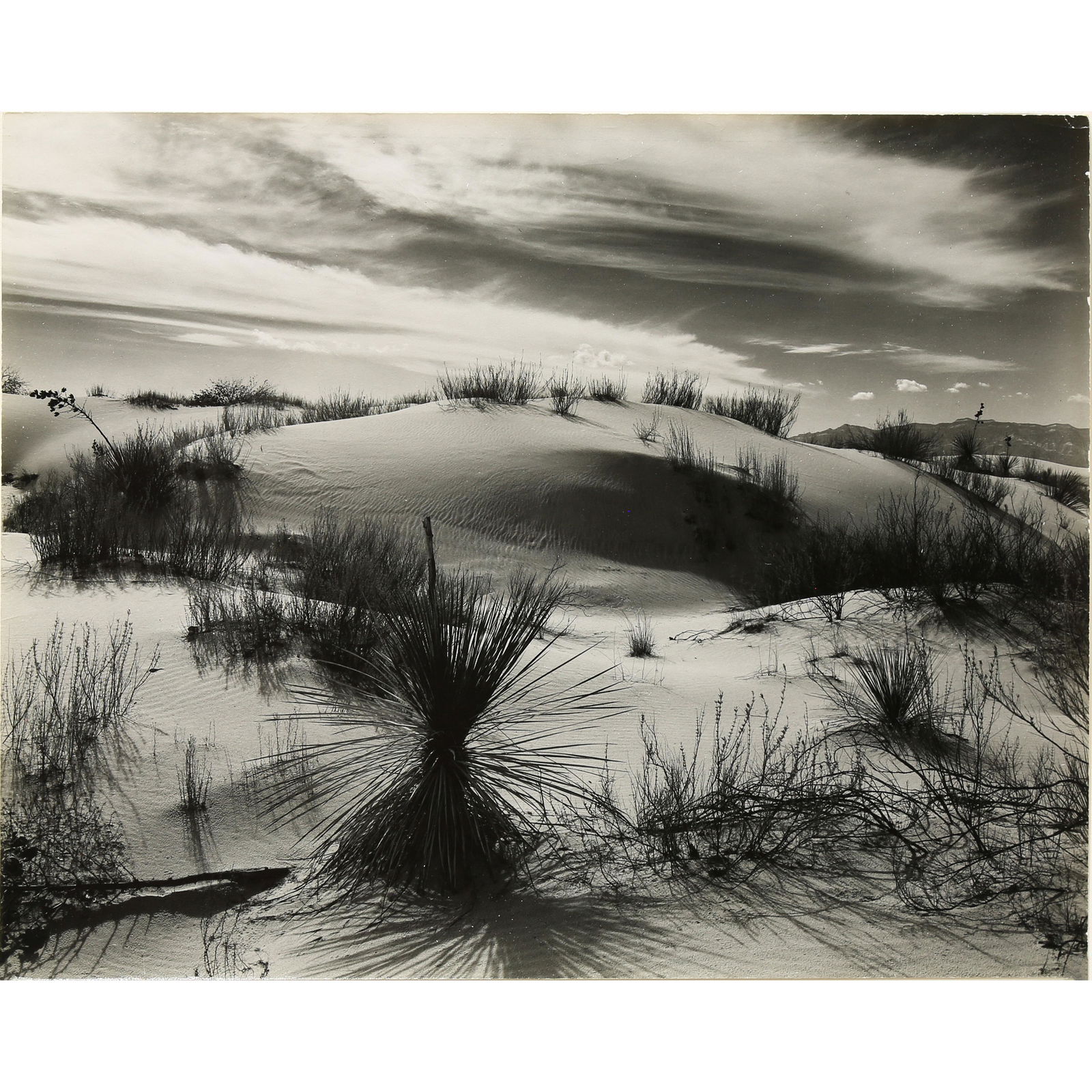 Photograph, Brett Weston (1 of 5)