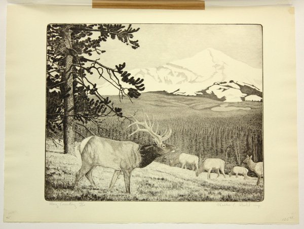 Etchings, Walter Bohl, Animals in Landscapes: (lot of 3) Unframed matted etchings by Walter E. Bohl (American, 1907-1990): ''Big Country,'' ''Listening,'' and ''Pickerel Slough,'' largest overall: 16''h x 19''w