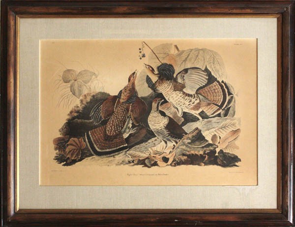Lithograph, after Havell after Audubon, Grouse: Framed color lithograph, Ruffled Grouse, after the Havell edition, after John James Audubon (American, 1785-1851), overall: 37.75''h x 49''w