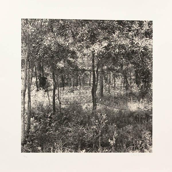 Portfolio, 10 x 10, Carrie Weems, Hung Liu: Portfolio of eight silkscreen prints, ''10 x 10 Ten Women Ten Prints,'' 1995, by Juana Alicia, Kim Anno, Claudia Bernardi, Yolanda Lopez, Hung Liu, Mary Lovelace O'Neal, Ruth Morgan, and Carrie Mae We